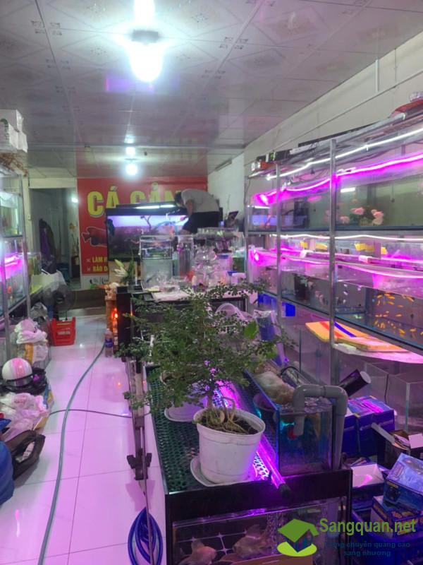 Sang nhượng cửa hàng