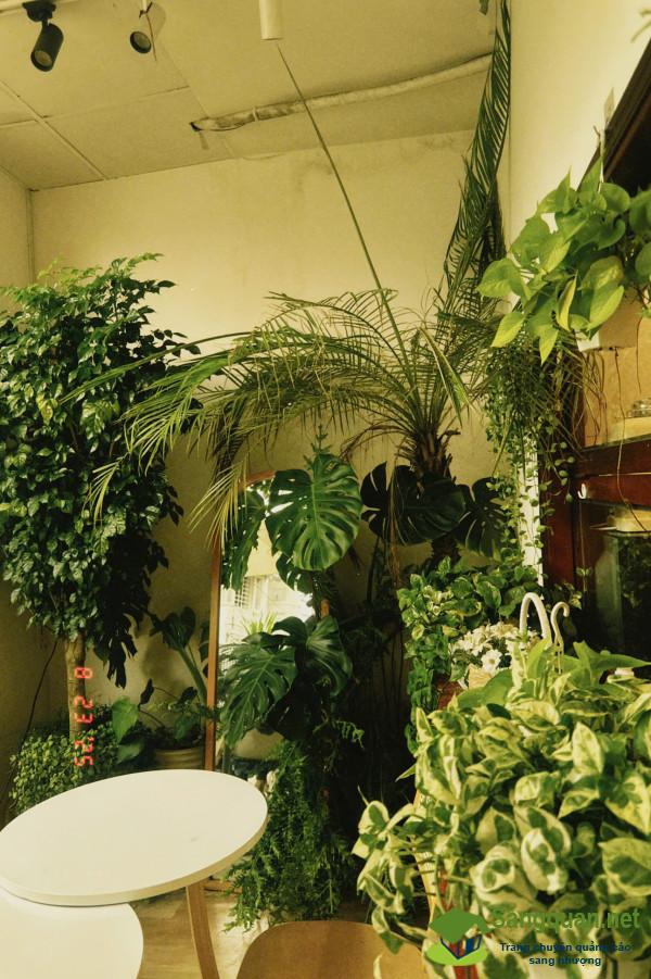 Sang quán cafe