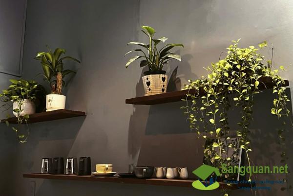 Sang quán cafe