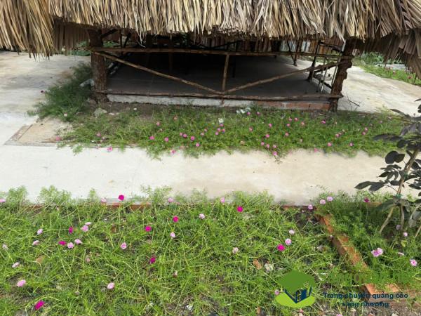 Sang quán ăn - nhậu