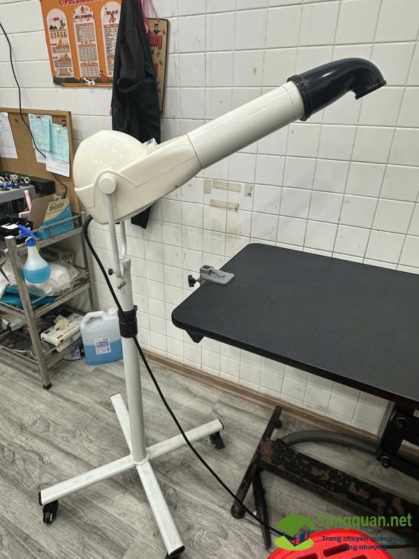 Sang cửa hàng thú nuôi